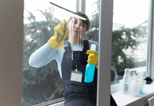 Nettoyage de vitres intérieures et extérieures à Mizérieux